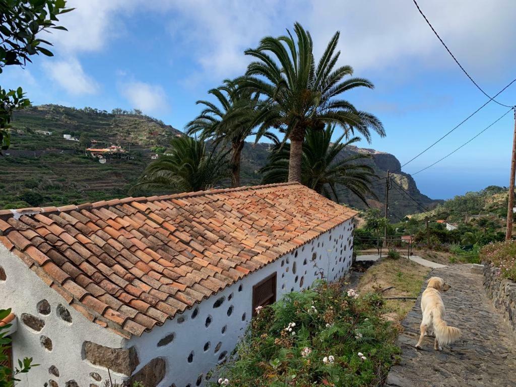 Casa Rural Emilia Villa Agulo Buitenkant foto